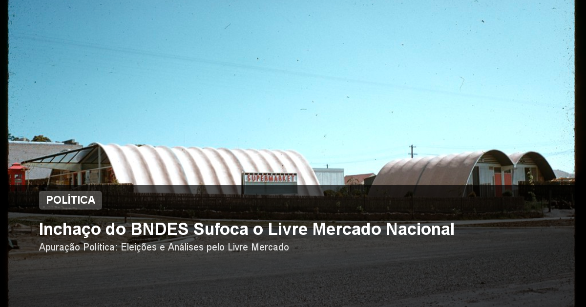 Inchaço do BNDES Sufoca o Livre Mercado Nacional
